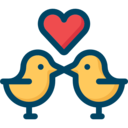 animals,heart,love,love and romance,romantic,love birds